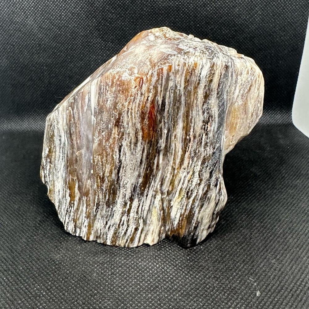 Petrified wood Freeform